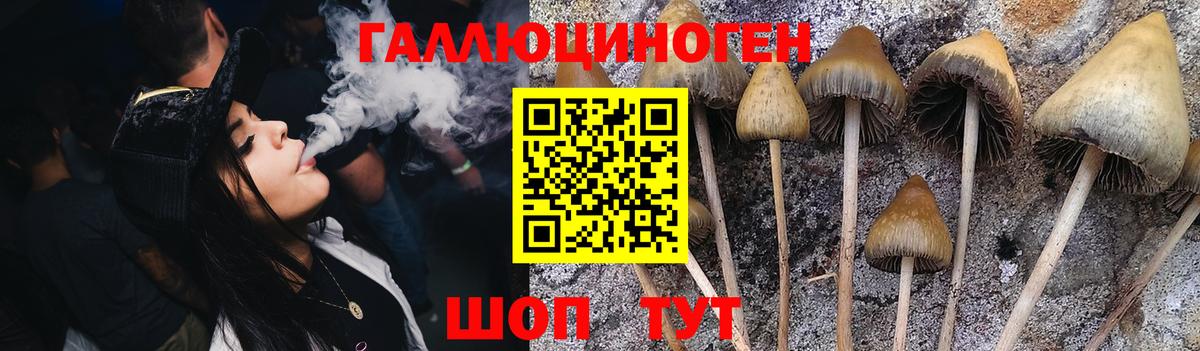 Галлюциногенные грибы MAGIC MUSHROOMS Гагарин